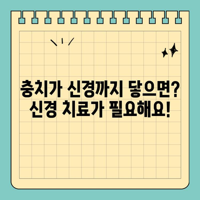 충치와 신경 치료, 헷갈리지 말고 제대로 알아보세요! | 치과, 치료, 차이점, 비용