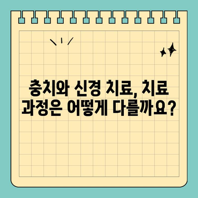 충치와 신경 치료, 헷갈리지 말고 제대로 알아보세요! | 치과, 치료, 차이점, 비용