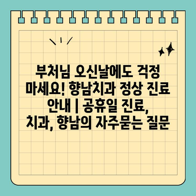 부처님 오신날에도 걱정 마세요! 향남치과 정상 진료 안내 | 공휴일 진료, 치과, 향남