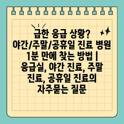 급한 응급 상황? 야간/주말/공휴일 진료 병원 1분 만에 찾는 방법 | 응급실, 야간 진료, 주말 진료, 공휴일 진료