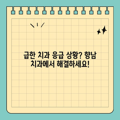 향남 치과 부처님 오신 날 정상 진료 안내| 휴일 진료 가능한 치과 찾기 | 향남, 부처님 오신 날, 공휴일 진료, 치과