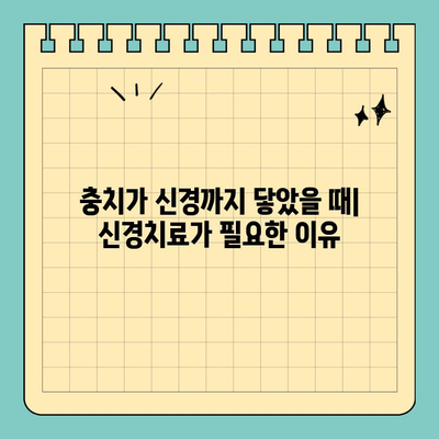 충치 치료 vs 신경치료| 무엇이 다를까요? | 치과 치료, 충치, 신경치료, 차이점 비교