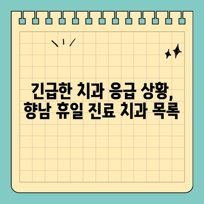 향남 부처님오신날에도 진료하는 치과 찾기| 정상 진료 치과 목록 | 향남, 부처님오신날, 휴일 진료, 치과