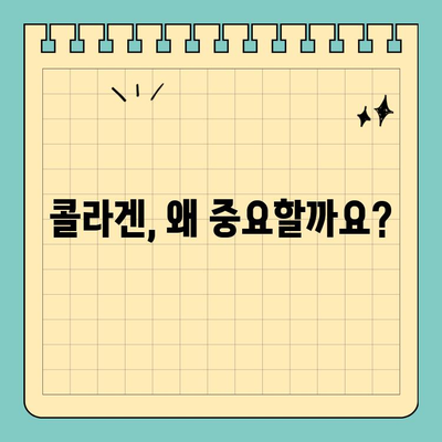 콜라겐 천국으로 가는 길, 천수애진S의 비밀| 콜라겐 섭취의 모든 것 | 콜라겐, 천수애진S, 피부, 건강, 효능, 섭취법