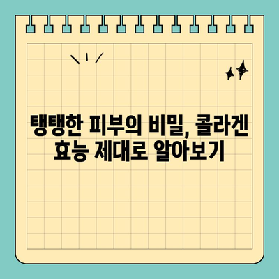 마시는 피부관리의 새로운 지평| 천수애진S 액상 콜라겐 | 피부 속부터 건강하게, 콜라겐 효능, 섭취 방법, 후기