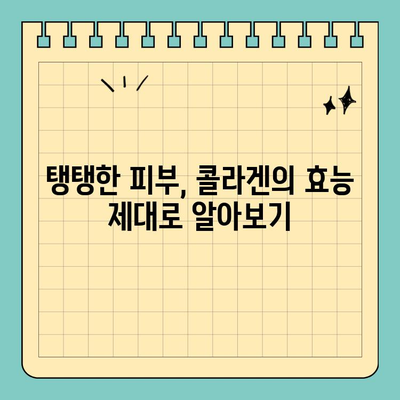 천수애진S 콜라겐 앰플 맛있게 마시는 꿀팁! | 콜라겐 효능, 섭취 방법, 부작용, 추천