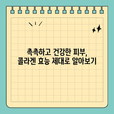 천수애진S 용량| 액상 콜라겐으로 피부 컨디션 UP! | 콜라겐 효능, 피부 관리, 천수애진S 후기