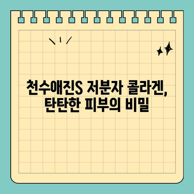 천수애진S 저분자 콜라겐 선물로 피부 탄력 UP! | 콜라겐 선물, 피부 탄탄, 천수애진S 효능, 선물 추천