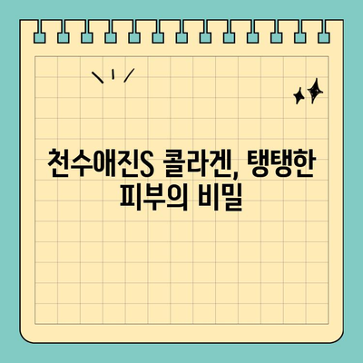 천수애진S 콜라겐, 식욕 돋우며 피부 건조까지 해결! | 콜라겐 효능, 천수애진S 후기, 피부 건강 팁