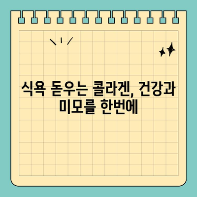 천수애진S 콜라겐, 식욕 돋우며 피부 건조까지 해결! | 콜라겐 효능, 천수애진S 후기, 피부 건강 팁