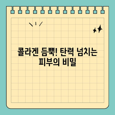 콜라겐 듬뿍! 천수애진S로 탱탱한 피부 되찾기 | 피부 탄력, 주름 개선, 콜라겐 효과