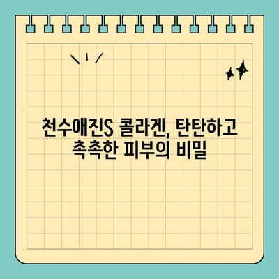 천수애진S 안전한 콜라겐 성분, 피부가 편안해지는 비결 | 콜라겐, 천수애진S, 피부 건강