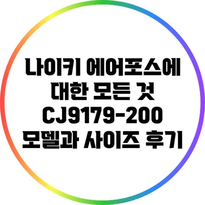 나이키 에어포스에 대한 모든 것: CJ9179-200 모델과 사이즈 후기