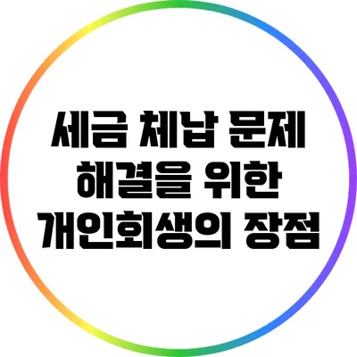 세금 체납 문제 해결을 위한 개인회생의 장점