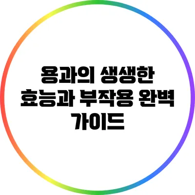 용과의 생생한 효능과 부작용 완벽 가이드