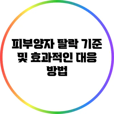 피부양자 탈락 기준 및 효과적인 대응 방법