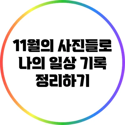 11월의 사진들로 나의 일상 기록 정리하기