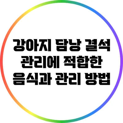 강아지 담낭 결석 관리에 적합한 음식과 관리 방법