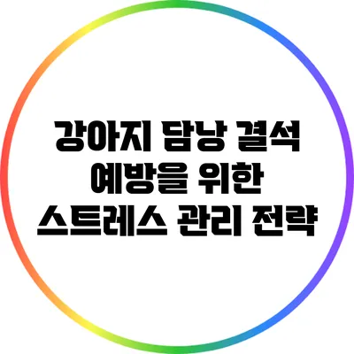 강아지 담낭 결석 예방을 위한 스트레스 관리 전략