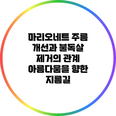 마리오네트 주름 개선과 불독살 제거의 관계: 아름다움을 향한 지름길