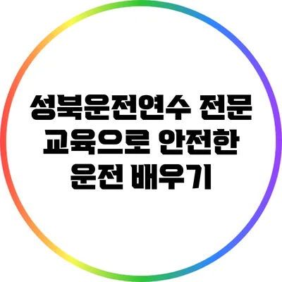 성북운전연수: 전문 교육으로 안전한 운전 배우기