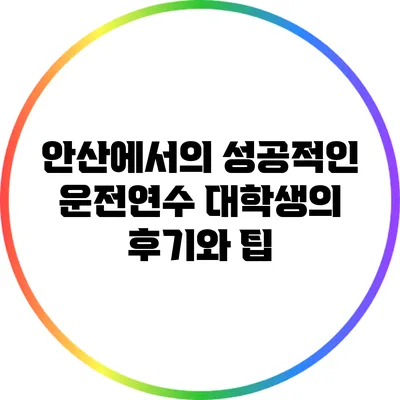 안산에서의 성공적인 운전연수: 대학생의 후기와 팁