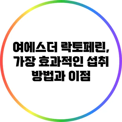여에스더 락토페린, 가장 효과적인 섭취 방법과 이점