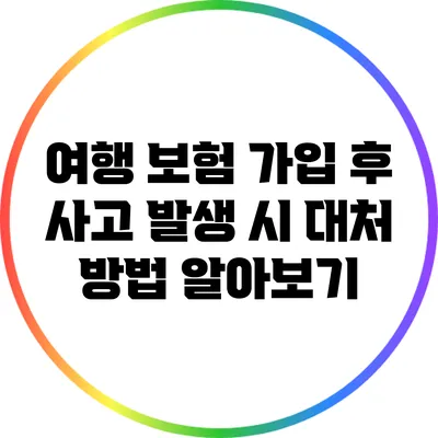 여행 보험 가입 후 사고 발생 시 대처 방법 알아보기