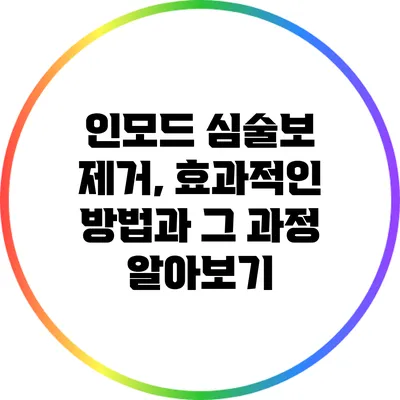 인모드 심술보 제거, 효과적인 방법과 그 과정 알아보기