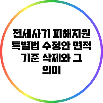 전세사기 피해지원 특별법 수정안: 면적 기준 삭제와 그 의미