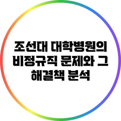 조선대 대학병원의 비정규직 문제와 그 해결책 분석