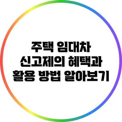 주택 임대차 신고제의 혜택과 활용 방법 알아보기