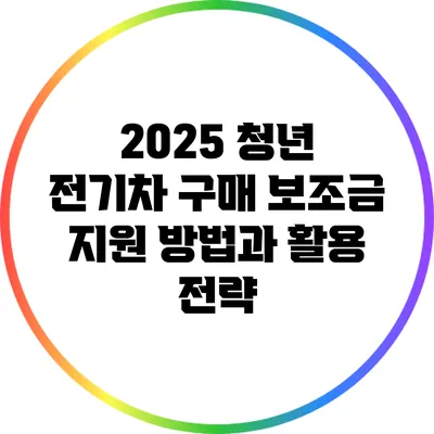 2025 청년 전기차 구매 보조금 지원 방법과 활용 전략