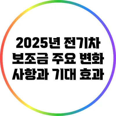 2025년 전기차 보조금 주요 변화 사항과 기대 효과