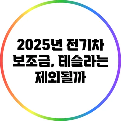2025년 전기차 보조금, 테슬라는 제외될까?