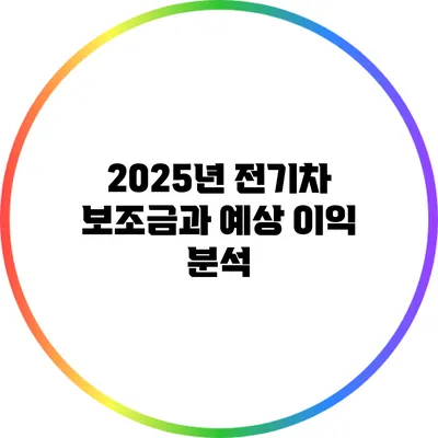 2025년 전기차 보조금과 예상 이익 분석