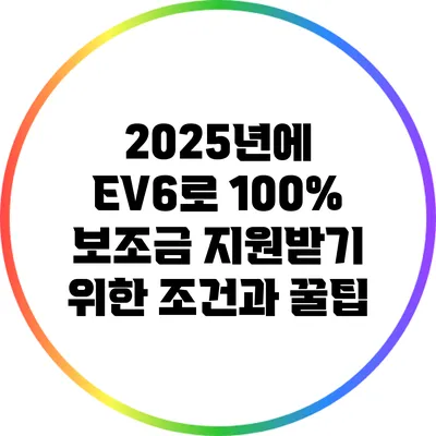 2025년에 EV6로 100% 보조금 지원받기 위한 조건과 꿀팁