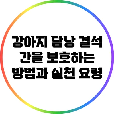 강아지 담낭 결석: 간을 보호하는 방법과 실천 요령