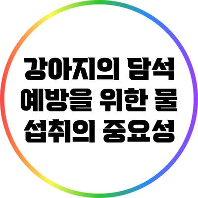 강아지의 담석 예방을 위한 물 섭취의 중요성