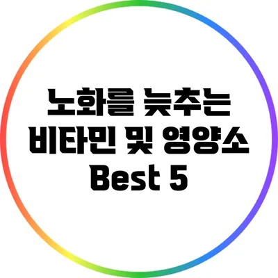 노화를 늦추는 비타민 및 영양소 Best 5