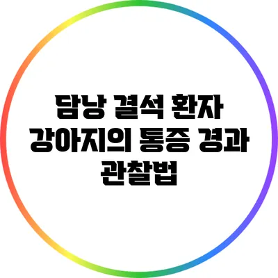 담낭 결석 환자 강아지의 통증 경과 관찰법