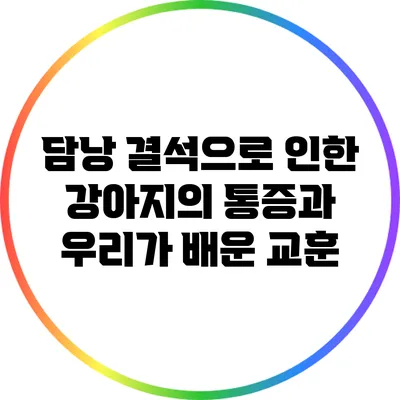 담낭 결석으로 인한 강아지의 통증과 우리가 배운 교훈