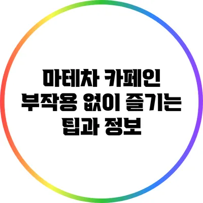 마테차: 카페인 부작용 없이 즐기는 팁과 정보