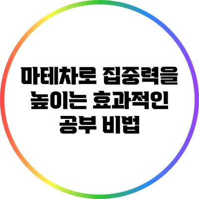 마테차로 집중력을 높이는 효과적인 공부 비법