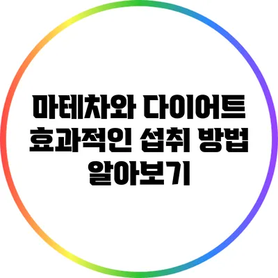 마테차와 다이어트: 효과적인 섭취 방법 알아보기