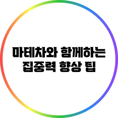 마테차와 함께하는 집중력 향상 팁