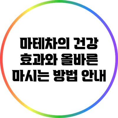 마테차의 건강 효과와 올바른 마시는 방법 안내
