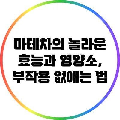 마테차의 놀라운 효능과 영양소, 부작용 없애는 법