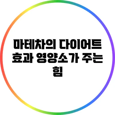 마테차의 다이어트 효과: 영양소가 주는 힘