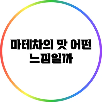 마테차의 맛: 어떤 느낌일까?